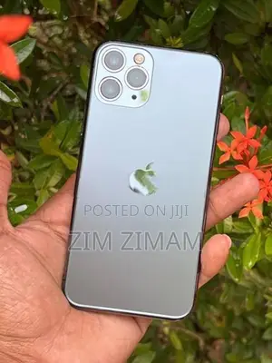 Apple iPhone 11 Pro (Used)