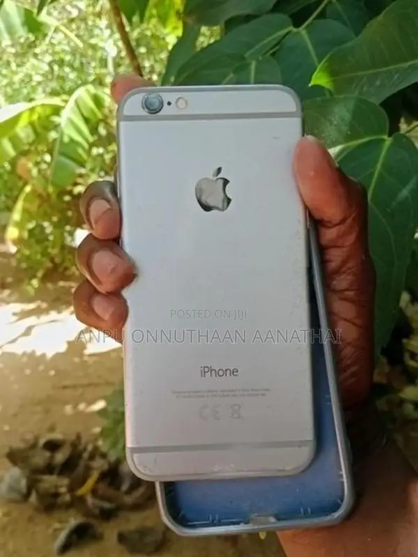 Apple iPhone 6 (Used)