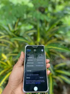Apple iPhone 8 Plus (Used)