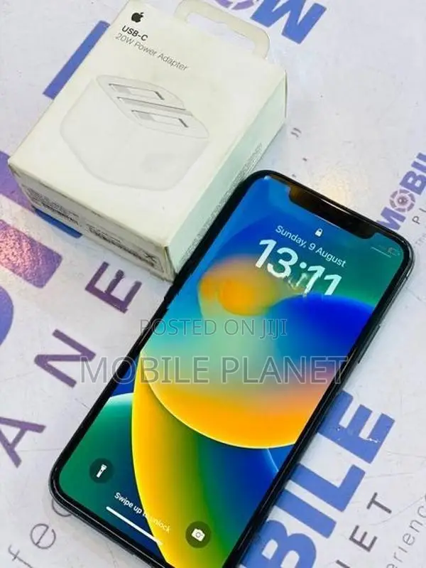 Apple iPhone X 256GB (Used)