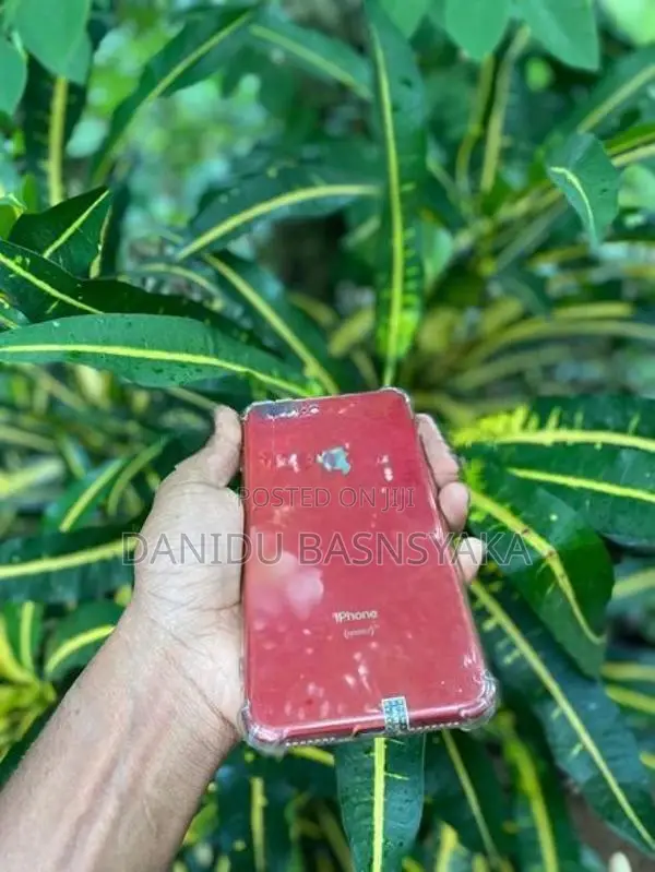 Apple iPhone 8 Plus (Used)