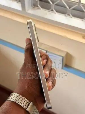 Apple iPhone 15 Pro Max (Used)