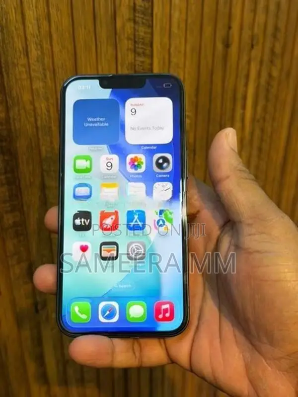 Apple iPhone 13 128 (Used)