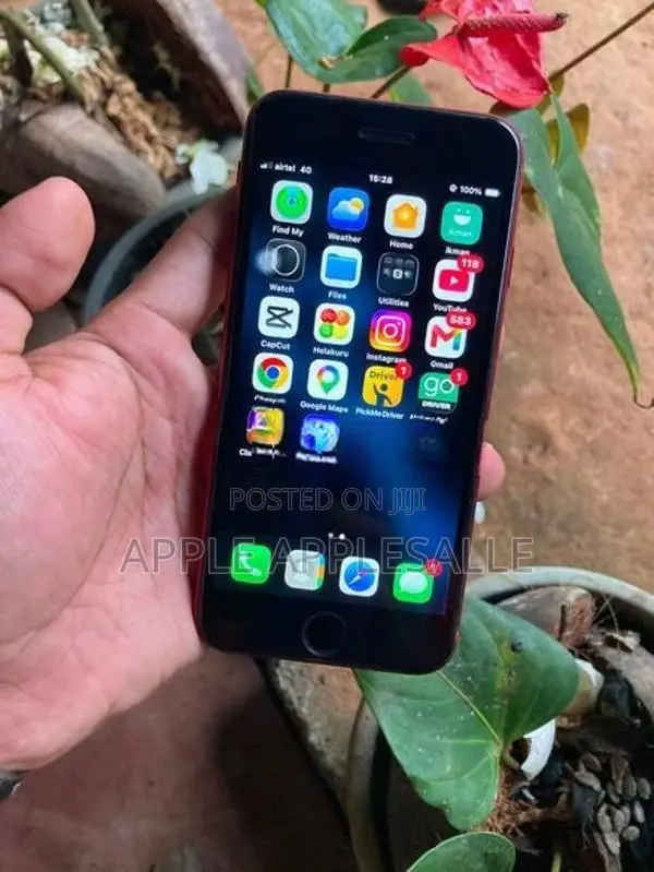 Apple iPhone SE 2 (Used)