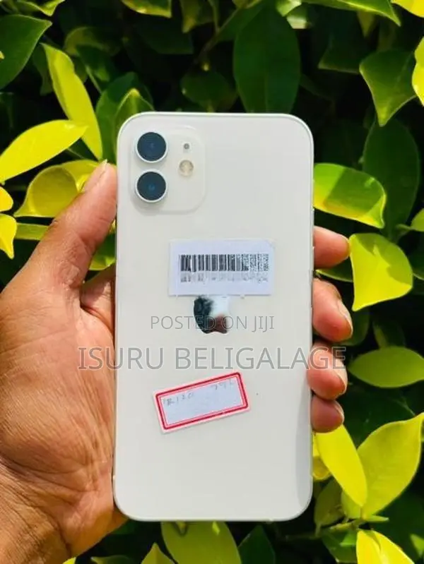 Apple iPhone 12 256GB (Used)