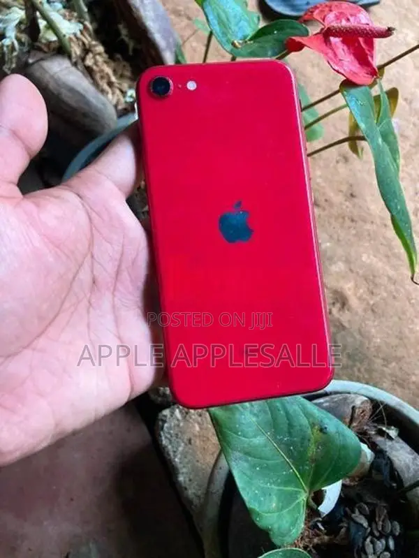 Apple iPhone SE 2 (Used)
