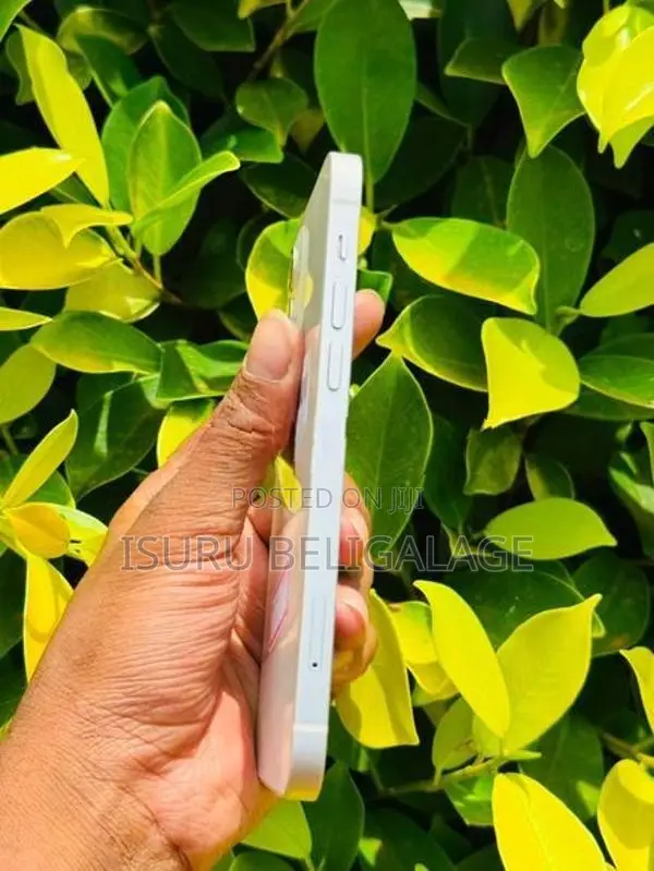 Apple iPhone 12 256GB (Used)