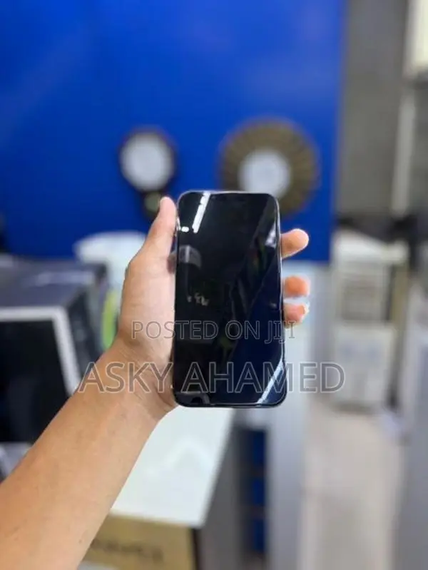 Apple iPhone 13 Pro (Used)
