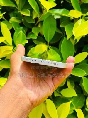 Apple iPhone 12 256GB (Used)