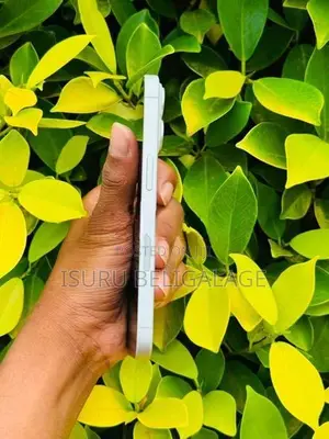 Apple iPhone 16 128GB (Used)