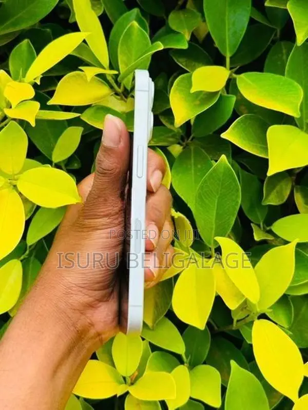 Apple iPhone 16 128GB (Used)