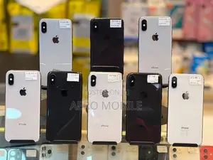 Apple iPhone X 256GB (Used)