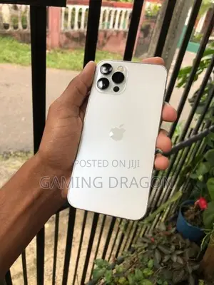 Apple iPhone 12 Pro 256GB (Used)