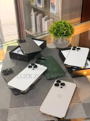 Apple iPhone 13 Pro (Used)