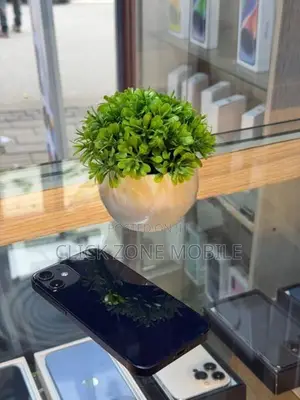 Apple iPhone 12 mini (Used)