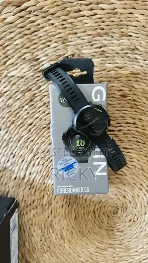 Garmin Forerunner 55 GPS Running Watch