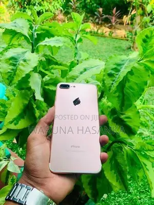 Apple iPhone 7 Plus (Used)