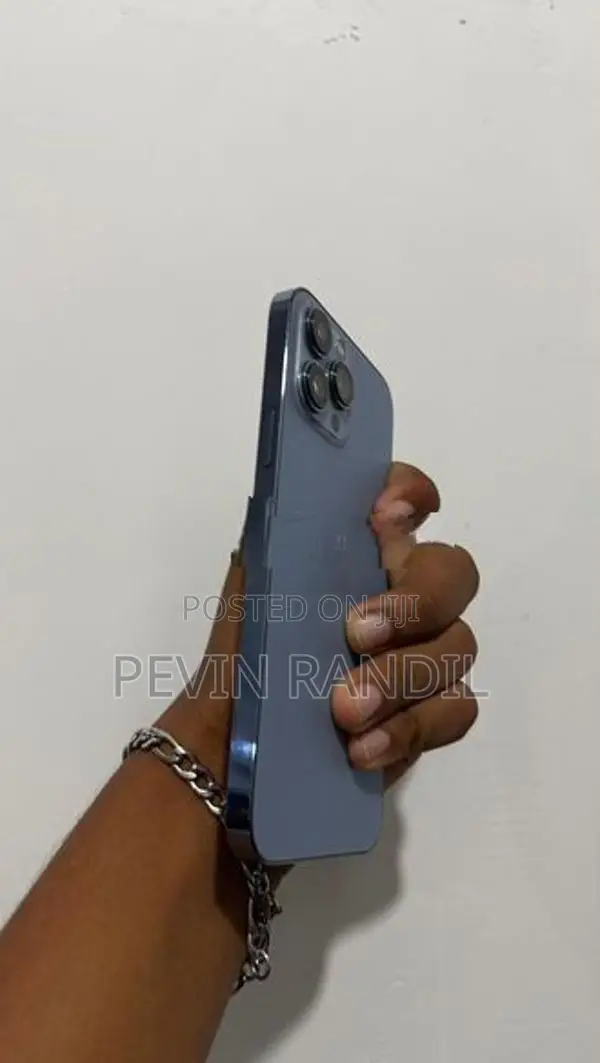 Apple iPhone 13 Pro Max (Used)
