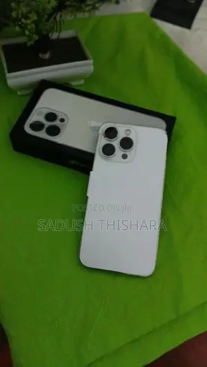 Apple iPhone 13 Pro (Used)