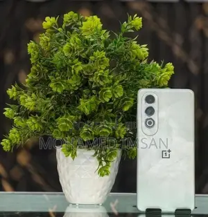 OnePlus Nord CE 4 (Used)
