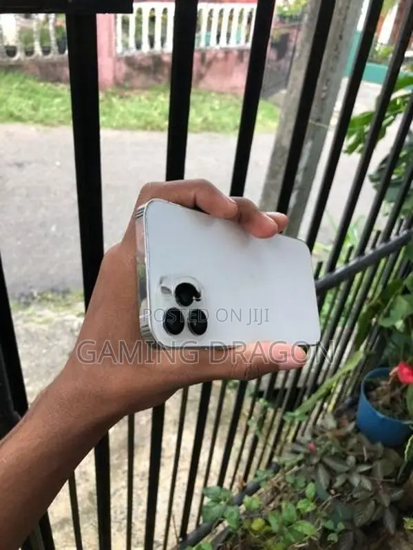 Apple iPhone 12 Pro 256GB (Used)