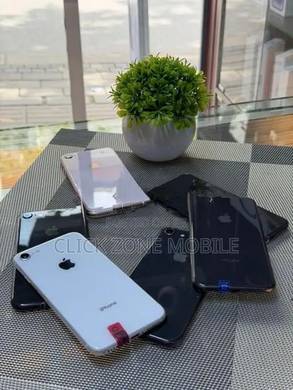 Apple iPhone 8 64GB (Used)