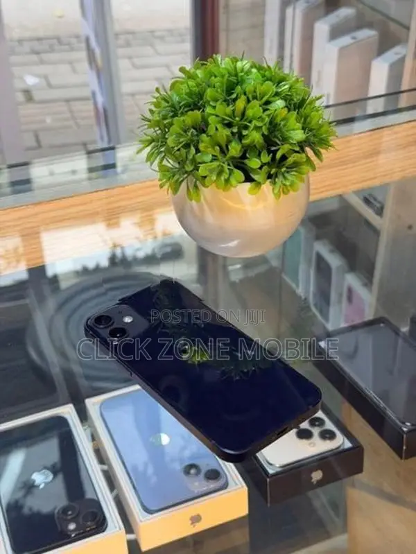Apple iPhone 12 mini (Used)