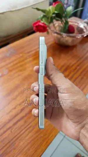 Vivo X300 (Used)