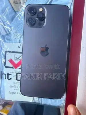 Apple iPhone 12 Pro Max (Used)