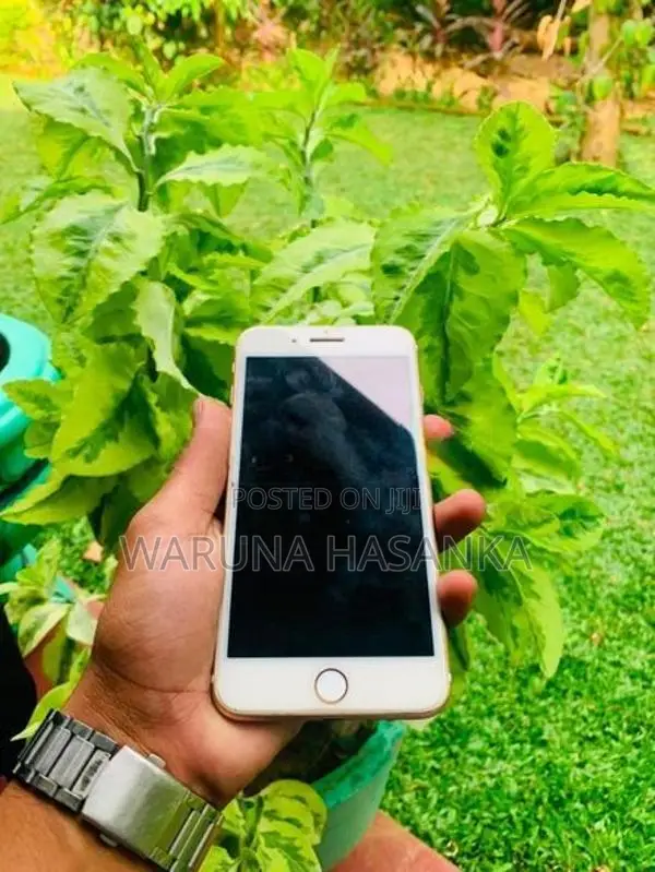 Apple iPhone 7 Plus (Used)
