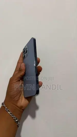Apple iPhone 13 Pro Max (Used)