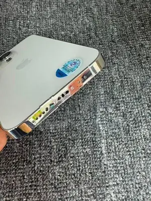 Apple iPhone 13 Pro global (Used)