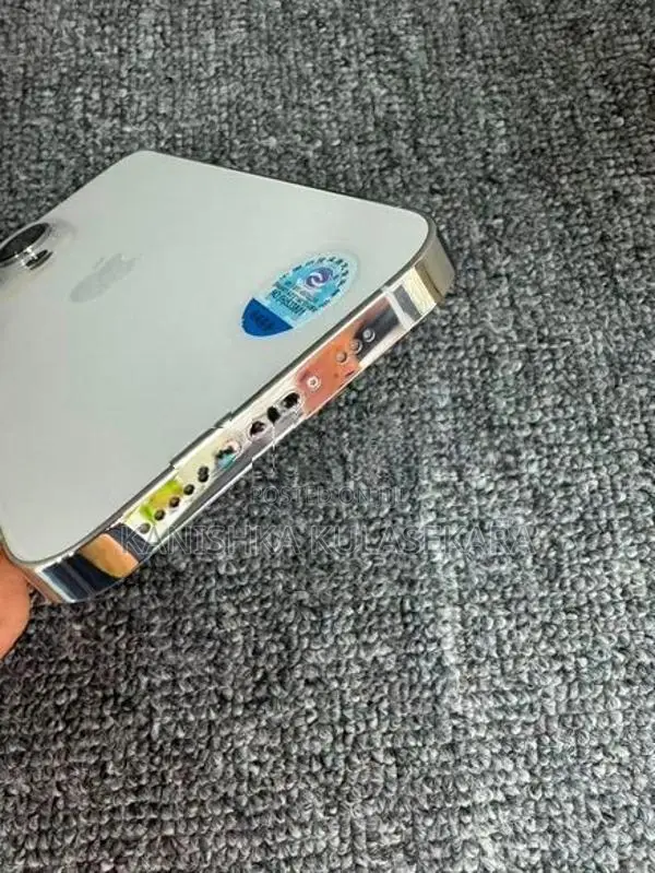Apple iPhone 13 Pro global (Used)