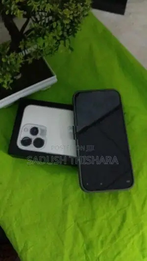 Apple iPhone 13 Pro (Used)