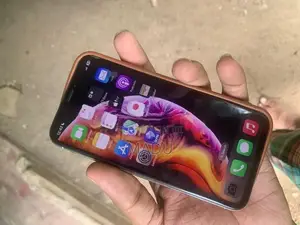Apple iPhone X 256GB (Used)
