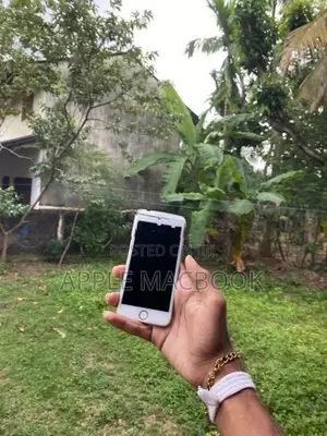Apple iPhone 6 (Used)