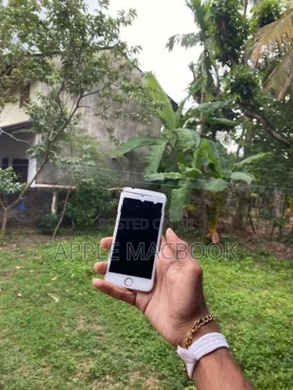 Apple iPhone 6 (Used)