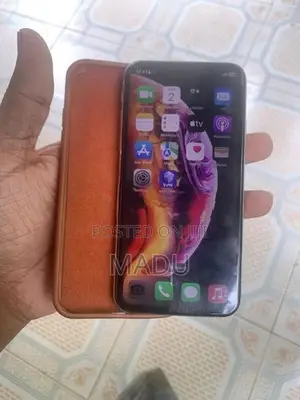 Apple iPhone X 256GB (Used)
