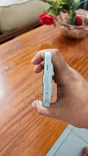 Vivo X300 (Used)