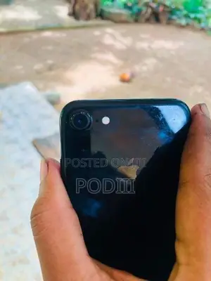 Apple iPhone 7 (Used)