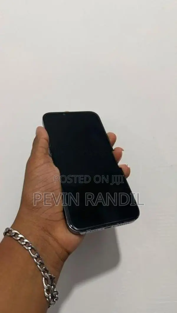 Apple iPhone 13 Pro Max (Used)