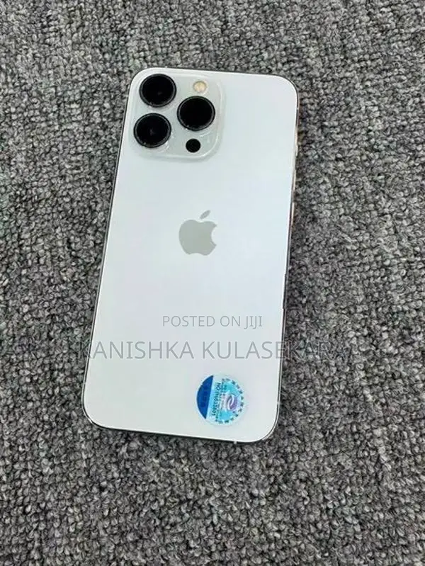 Apple iPhone 13 Pro global (Used)