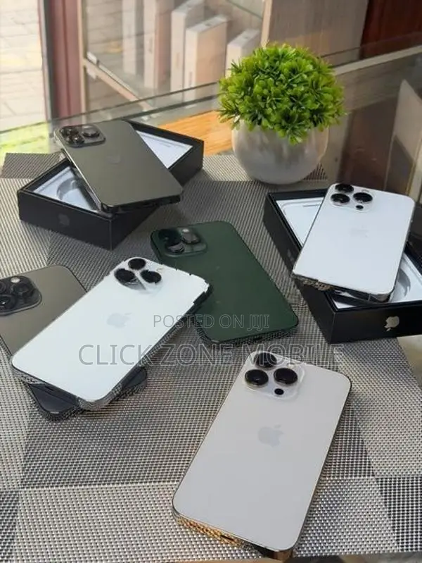 Apple iPhone 13 Pro (Used)