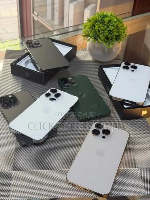 Apple iPhone 13 Pro (Used)