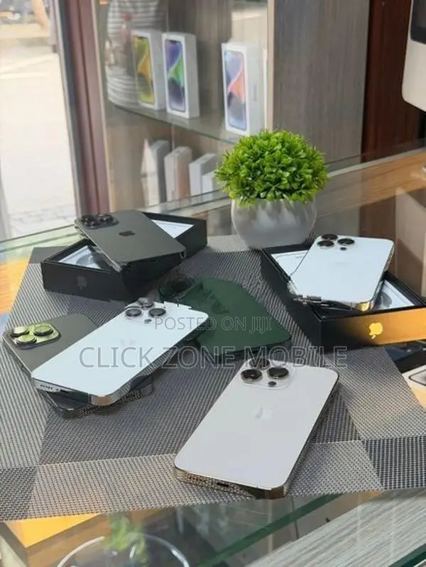Apple iPhone 13 Pro (Used)