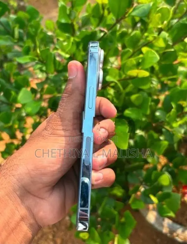 Apple iPhone 13 Pro (Used)