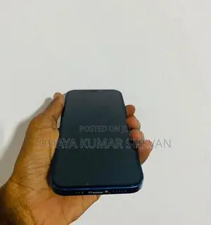 Apple iPhone 12 (Used)