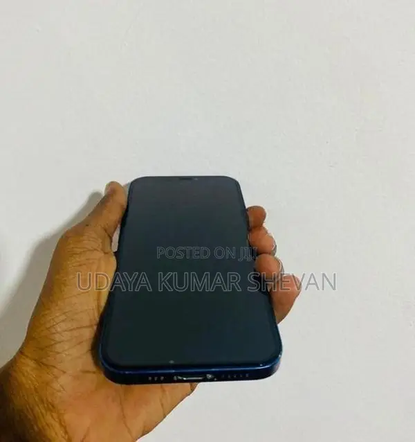 Apple iPhone 12 (Used)