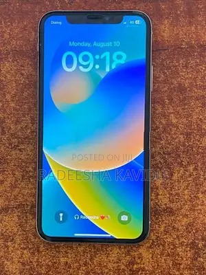 Apple iPhone X (Used)