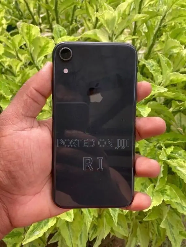 Apple iPhone XR 64GB (Used)